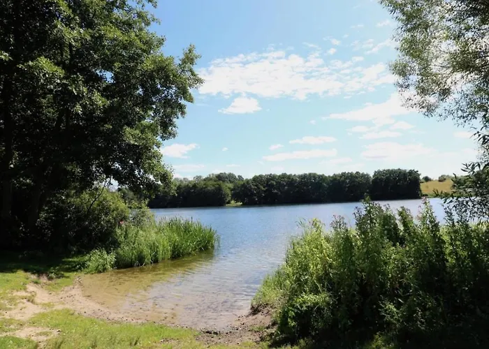 Zentrumsnahes Wohnen In Der Alten Schule Am See